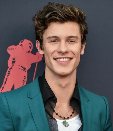 Shawn Mendes Profile